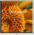 /album/photo-gallery-canvas-uri/decoratiuni-de-perete-canvas-lc-0651-jpg/